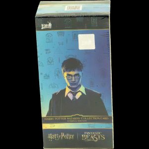 Harry Potter Wizards Eternal Edition Booster